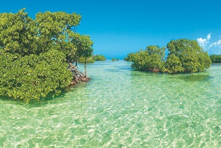 Private boat trip with guide on the most beautiful lagoon of Guadeloupe