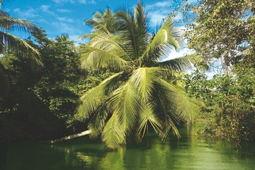 Private boat trip with guide on the most beautiful lagoon of Guadeloupe