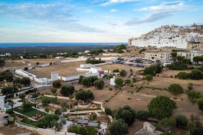 Compose your dish in a magical garden in the center of Ostuni