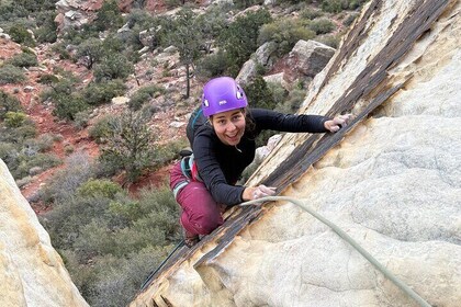 Half-Day Rock Climbing in Red Rock Canyon (Beginner Friendly)