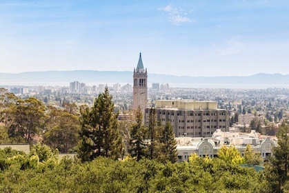 Berkeley Scavenger Hunt Activity for Private Group