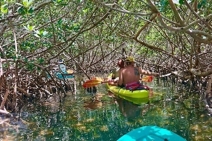 Key West Clear Kayak Eco Tour