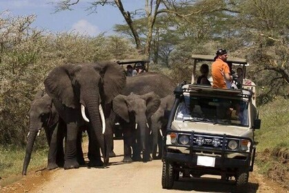 21 Days Kenya Adventure with Tanzania Safari and Diani Beach