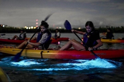 Bioluminescent Bay Kayak Tour in Fajardo Puerto Rico
