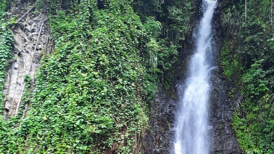 Island Tours In St. Vincent and the Grenadines