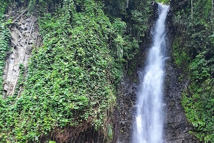 Island Tours In St. Vincent and the Grenadines