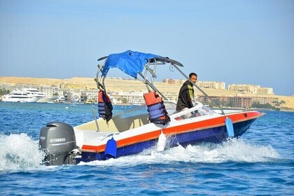 Hurghada: Semi-Private Speedboat to Dolphin House with Transfer