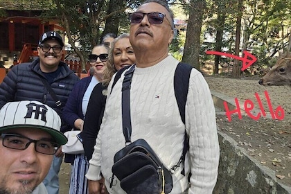 Authentic Private tour from Osaka to Nara with a Native Expert