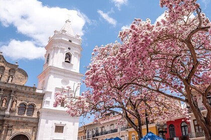 Private Panama City Tour