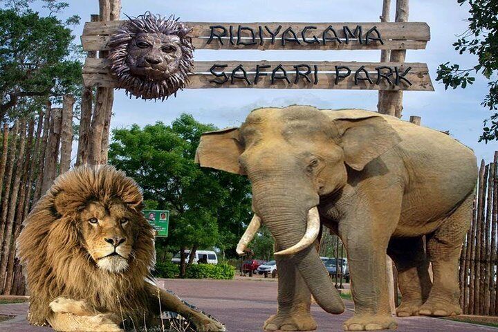 ridiyagama safari park location