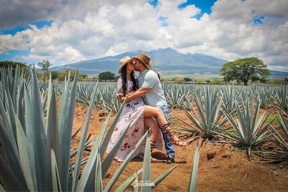 Tequila Economy Traveler