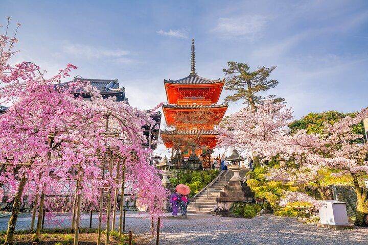 Kyoto and Nara Small Group Tour from Osaka