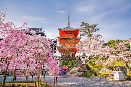 Kyoto and Nara Small Group Tour from Osaka