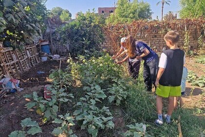 A Day in Ancient Egypt – Cultural Tour for Children in Luxor