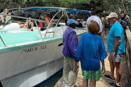 Haitian National Park and fell up