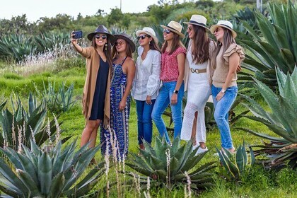 Private Mezcal Tasting Journey by Car in Oaxaca