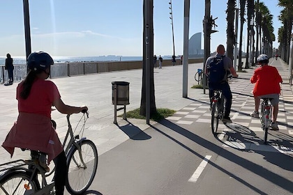 2.5h E-Bike Tour: Parks, Gardens, Beach & Panoramic City Views