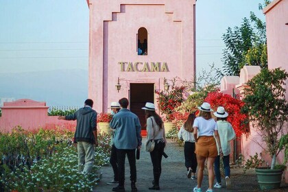 Visit Winery Tacama artisan winery Gran Tour Tacama