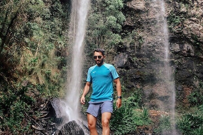 Brisbane: Springbrook 7 Waterfalls and Natural Bridge Day Tour