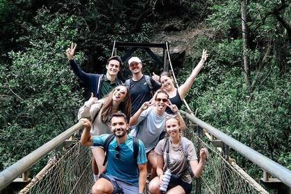 Brisbane: Springbrook 7 Waterfalls and Natural Bridge Day Tour