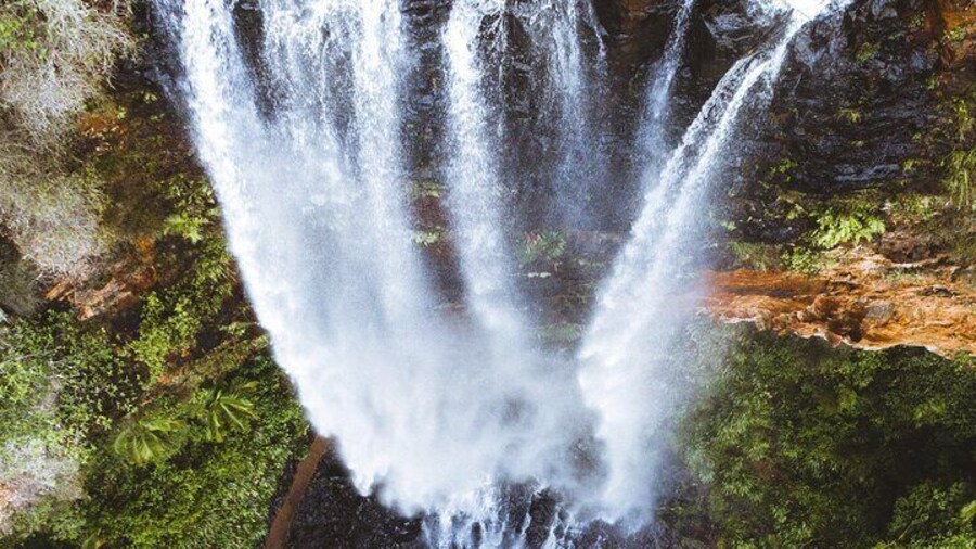 Gold Coast: Springbrook 7 Waterfalls and Natural Bridge Day Tour