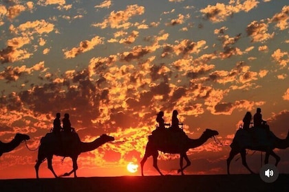 Cabo San Lucas Combo 2 in 1 Skybikes, ATV, RZR, Horses or Camel