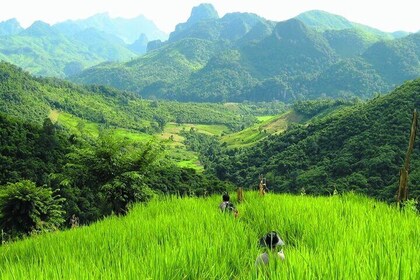 Luang Prabang Mountain, Villages & Jungle Trekking Private Tour