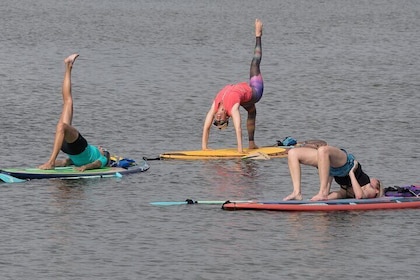 SUP Yoga: Paddleboard Yoga Experience in Nature
