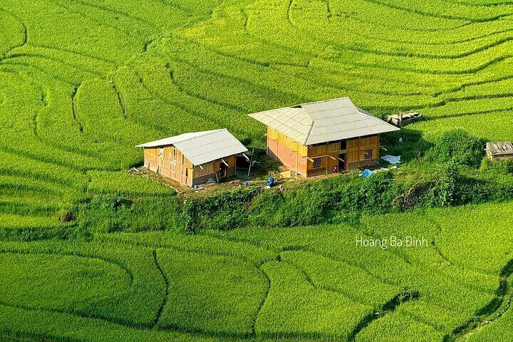 Sapa Half-Day Trekking: Stunning Rice Terraces & Local Village