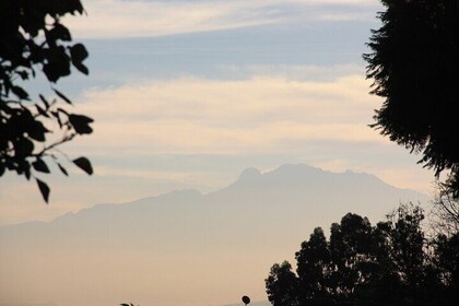 Stroll in the famous floating gardens of ancient Mexico