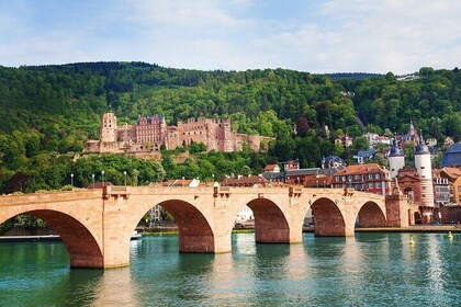 Private Day Tour to Heidelberg from Frankfurt with Castle Visit