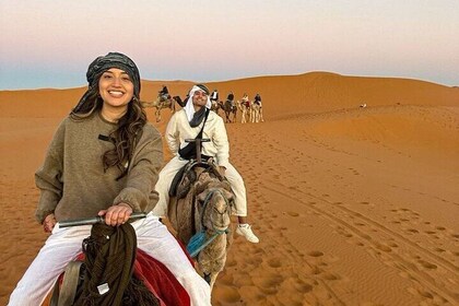 Savor a Sunset Camel Ride with Barbeque Dinner – Agadir