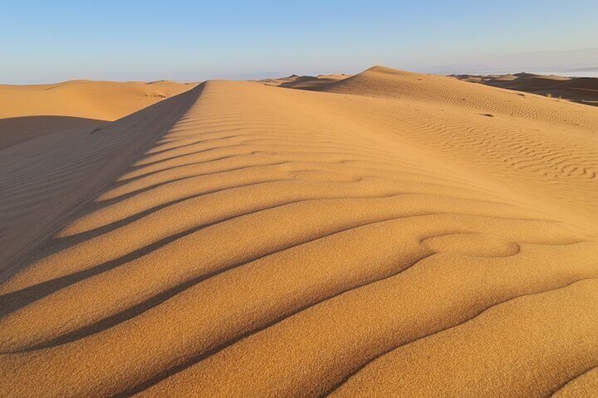 Day Tour to Wahiba Sands Desert and Wadi Bani Khalid (Desert Safari)