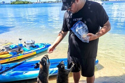 Unique 5 Hours-Boat Tour to Raccoon Island from Fort Lauderdale