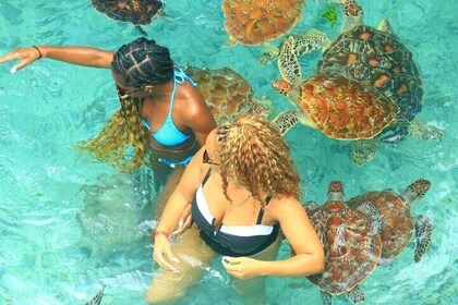 Swimming with Sea Turtles at Salaam Cave Aquarium in Kizimkazi
