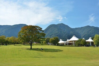 Gifu: Yoro Unforgettable Walkable Artwork