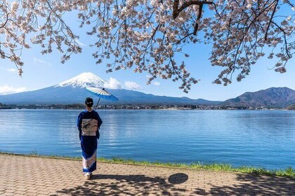 Mt. Fuji Oshino Hakkai and Gotemba Outlets Tour