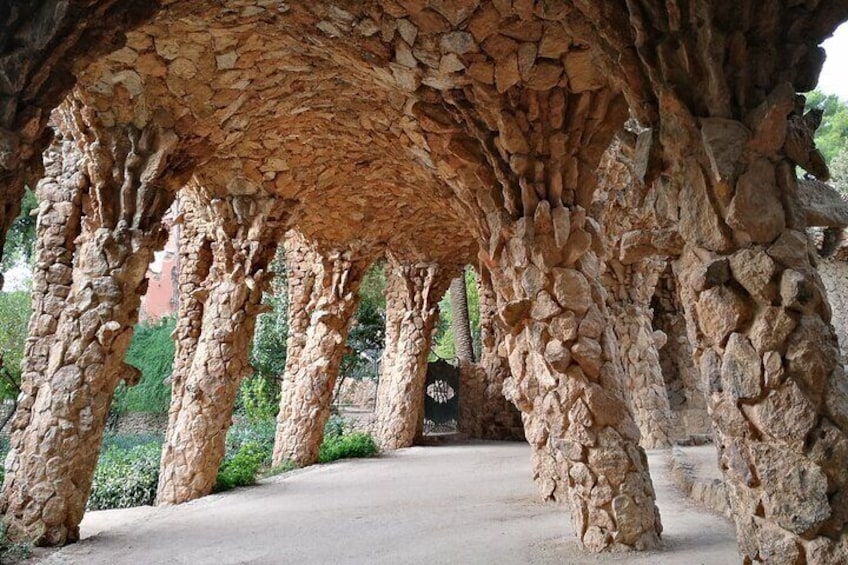 Skip the line with drink & tapas: Sagrada Familia and Güell Park guided tour