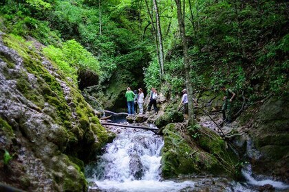 Hike Inner Journey to Soaring Eagles Trail