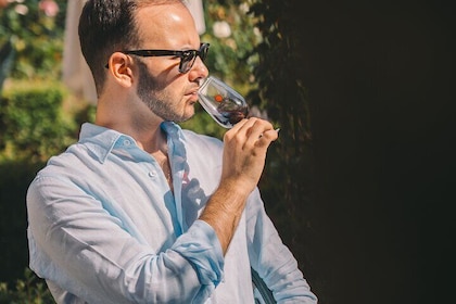 Porto: Taylor's Wine Cellar and Wine Experience