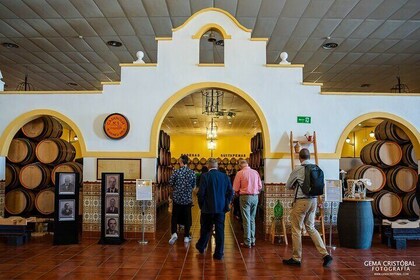 Visit the Oldest Winery of Malaga and Wine Tasting