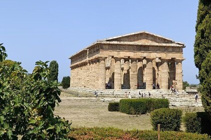 From Naples to Cilento: Paestum Ruins, Buffalo Mozzarella & Wine
