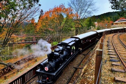 Alishan National Forest Recreation Area Admission Ticket