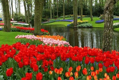 Keukenhof and Leiden Private Tour