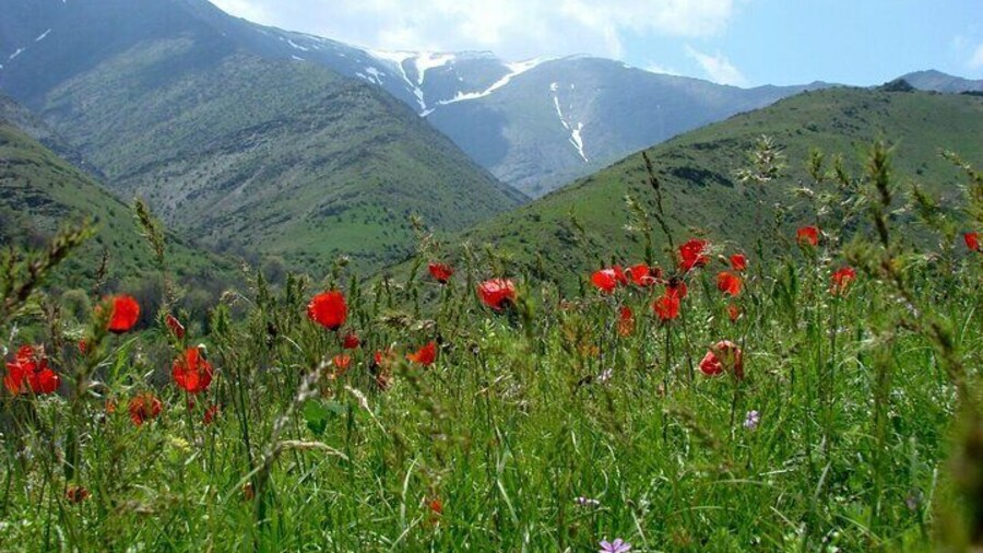 Nurata Mountain 3 Day Private Rural Tour from Samarkand or Bukhara
