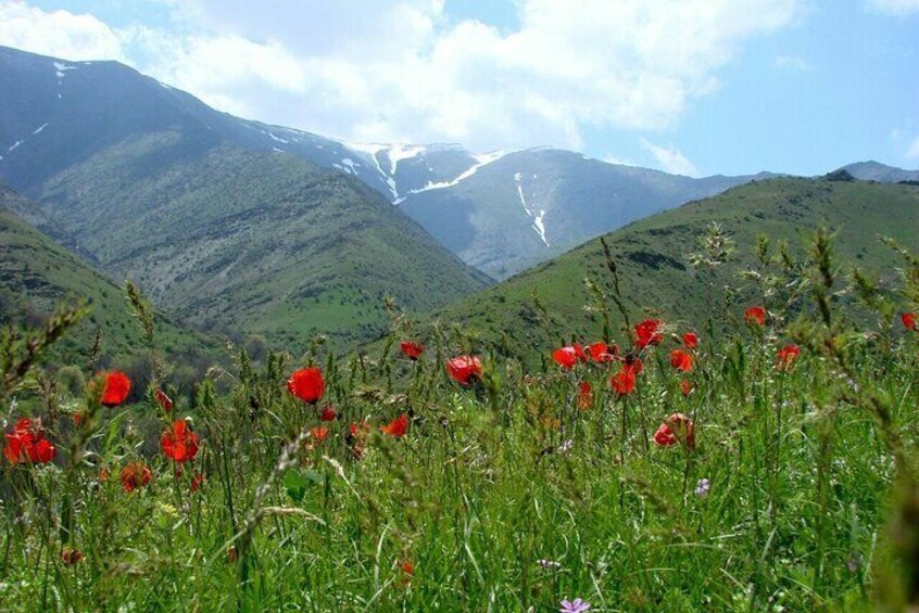 Nurata Mountain 3 Day Private Rural Tour from Samarkand or Bukhara