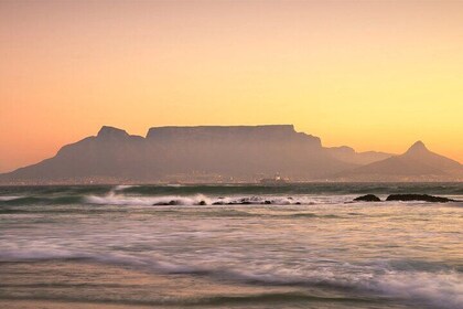 5-Day Cape Town, Safari and Garden Route, South Africa Tour