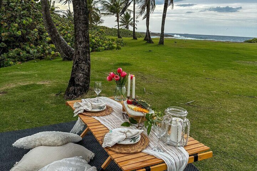 Tailor Made Luxury Picnics - Vida Vistas