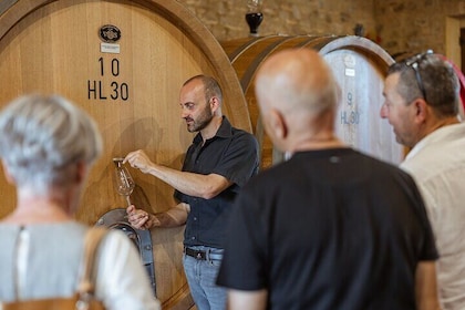 From Montalcino Pasta Class with Brunello Tasting and Lunch
