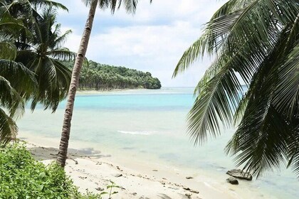 Romantic Nassau: Scenic Tour with Ocean Views & Hidden Gems